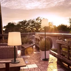 Paul Neuhaus Tischleuchte Falter Anthrazit 28 X 60 Cm -Lampe Geschäft 4012248357064 2426 02