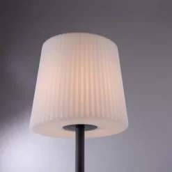 Paul Neuhaus Tischleuchte Falter Anthrazit 28 X 60 Cm -Lampe Geschäft 4012248357064 2426 08