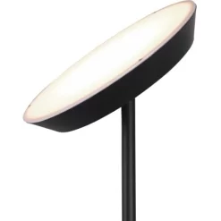 Trio LED-Stehleuchte Haora 17W + 3,5W Touch-Dimmer Schwarz Matt